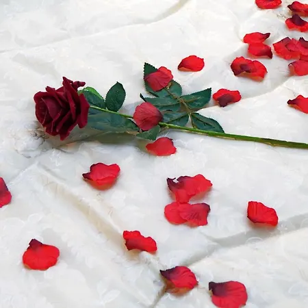 Termini Terrace 4* Rom